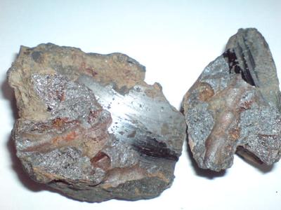 10042011.JPG